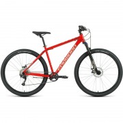 Forward BURAN 29 2.0 DISC 